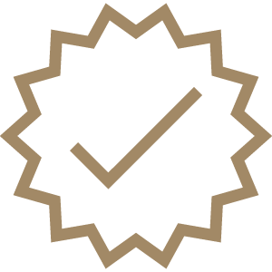 Check mark icon