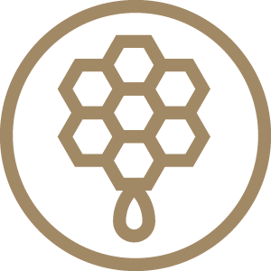 honey icon