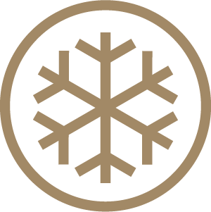 snowflake icon