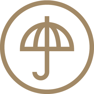Umbrella icon