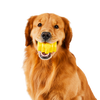 Golden retriever holding a yellow hive pet toy in its mouth