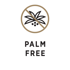 Palm free icon