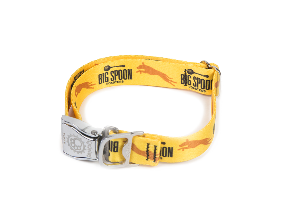 Big Spoon Roasters Cycle Dog collar